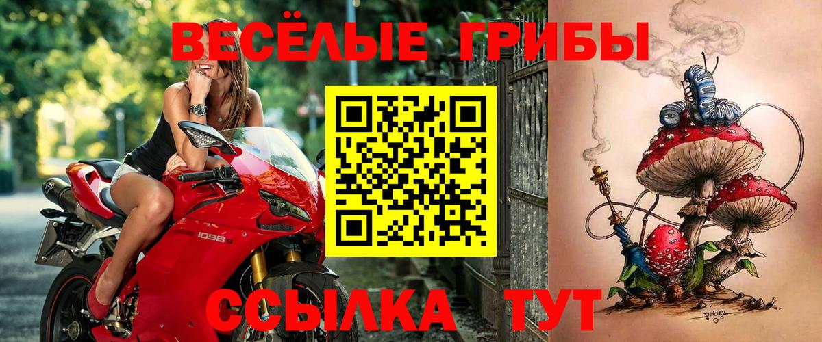 Владивосток  Псилоцибиновые грибы Psilocybine cubensis  где продают   Вход с VPN  Псилоцибиновые грибы Psilocybine cubensis 
